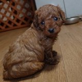  エリカ様と赤ちゃん