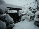 画像: 今冬　始めての大雪　(数年ぶり)