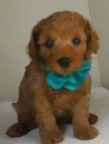 画像: リコちゃん赤ちゃん生まれました